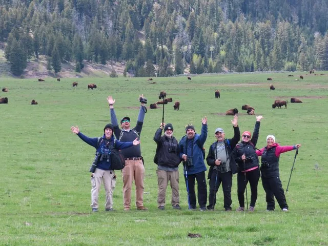 A group of happy tourists waving in a field full of bison