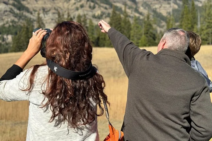 People looking through binoculars and pointing towards a scenic mountain landscape